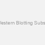 WESTSAVE Up (Western Blotting Substrate, double pack)